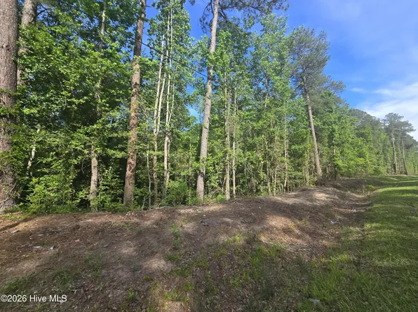 Cabins Creek Rd Lot 35-40, Vass, NC 28394