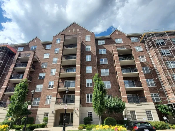 390 W Mahogany Ct Unit 703, Palatine, IL 60067