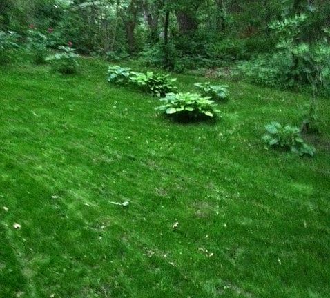 3rd image of 15320 Hill Dr
