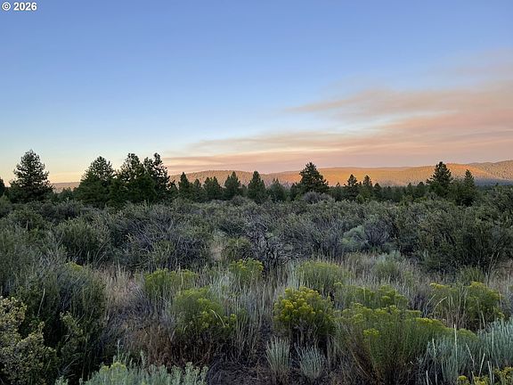 5th image of David St #1