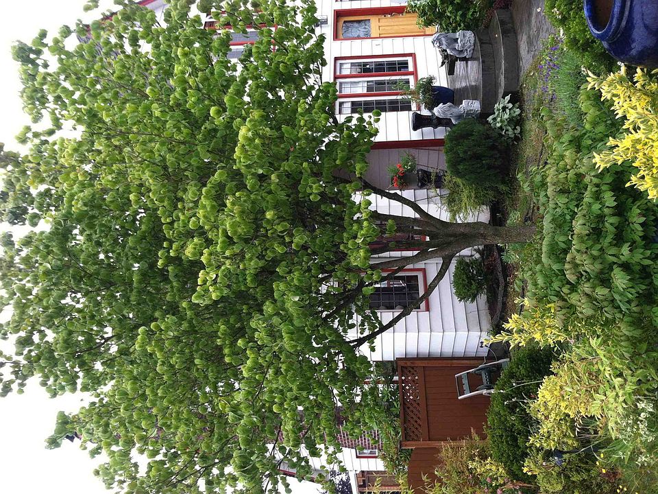 2nd image of 623 NE 78th St