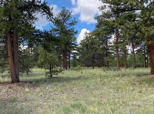 198 Hereford Dr, Hartsel, CO 80449