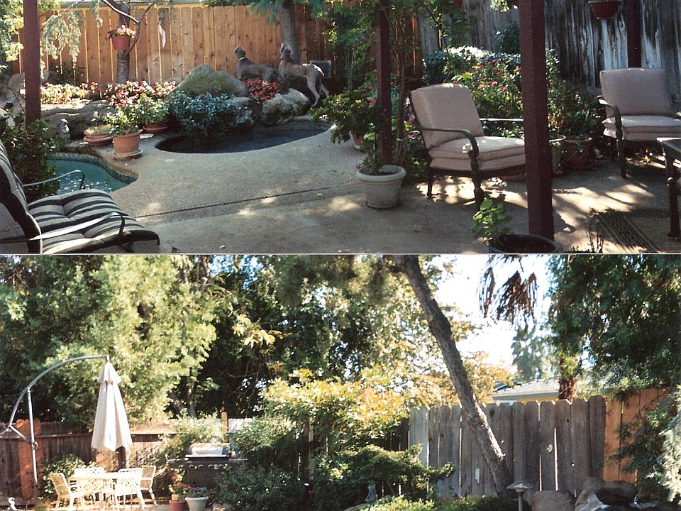 Patio & Pool 
