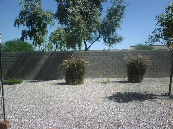 back fence...nice view no other homes
