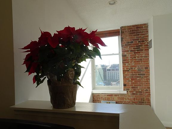 View from Kitchen, Washington Monument