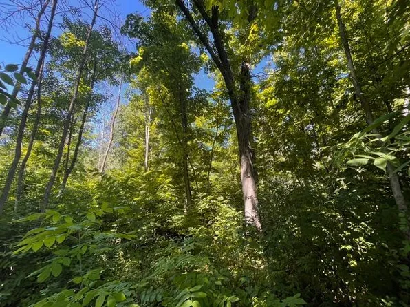 LOT 1 County Rd, Woodville, WI 54028