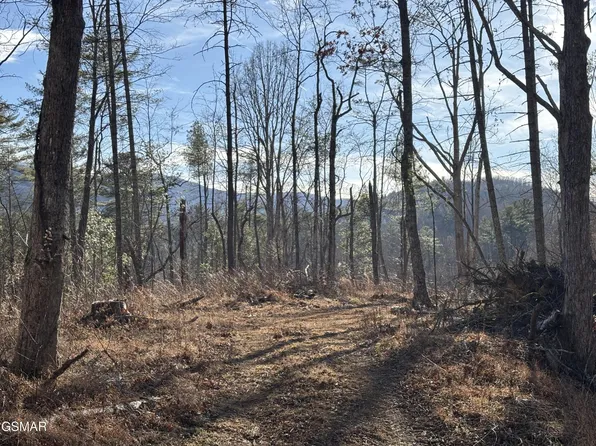 1 Bull Mountain Rd Lot Del, Del Rio, TN 37727