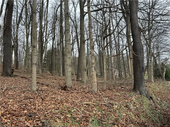Bieda Lot Davis School Rd S, Washington, PA 15301
