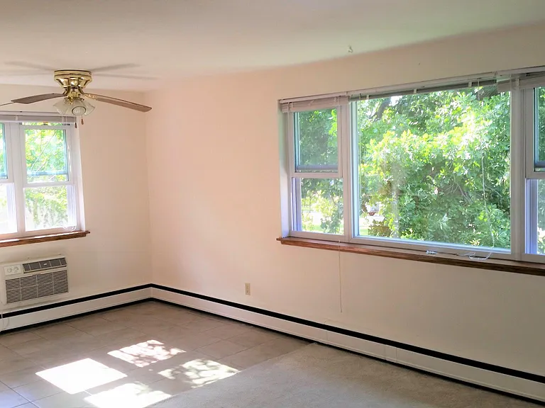 Large windows