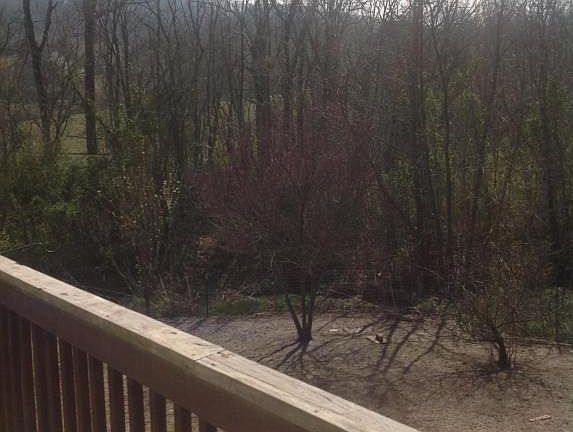 4th image of 6837 Audrianna Ln