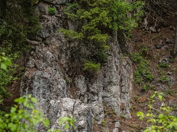 4 Five #6-7, Drummond, MT 59832