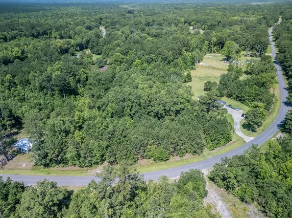 Holmestown Loop Rd, Midway, GA 31320