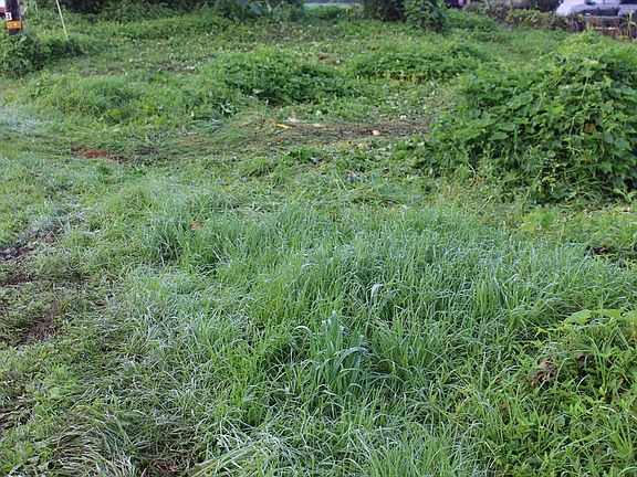 3rd image of 64-262 Mamalahoa Hwy Lot 6