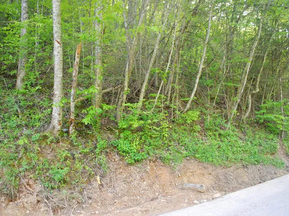 1132 Cole Ln, Gatlinburg, TN 37738