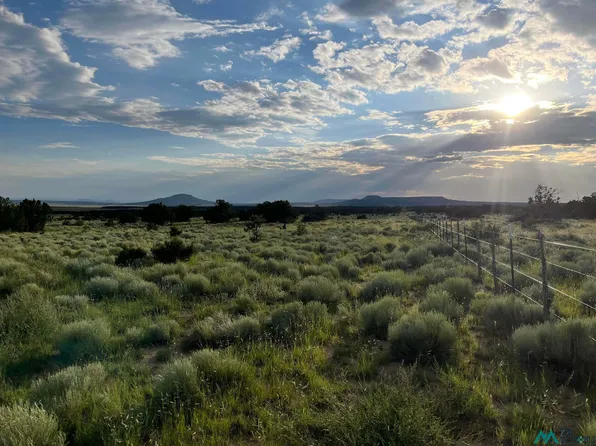 Tba, Quemado, NM 87829