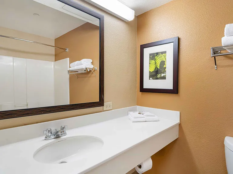 Studio Suite - 2 Full Beds