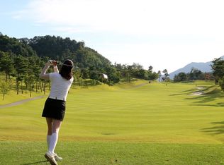 204 Paradise View Ct, Landrum, SC 29356