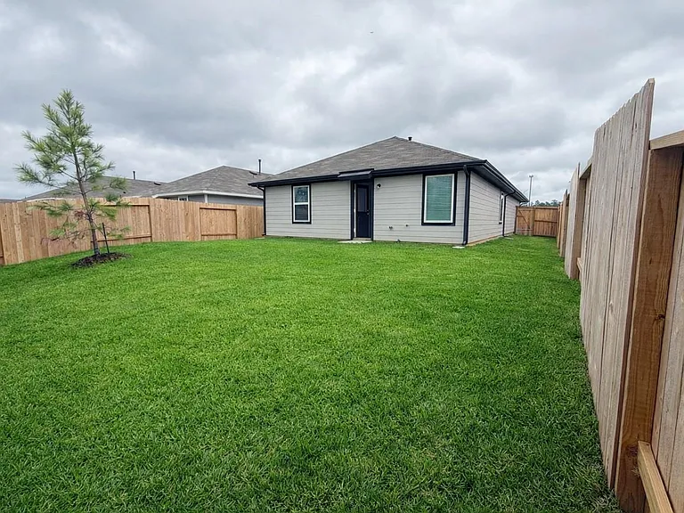23732 Patchouli — Photo 7