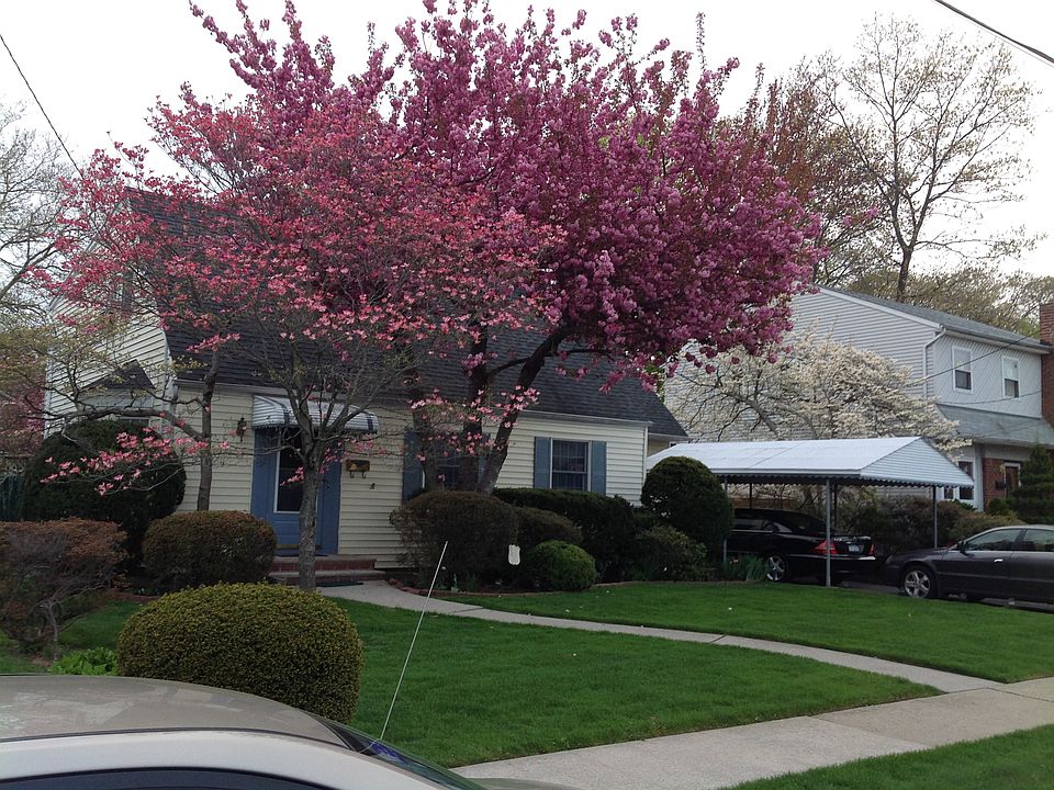 Street view of the home