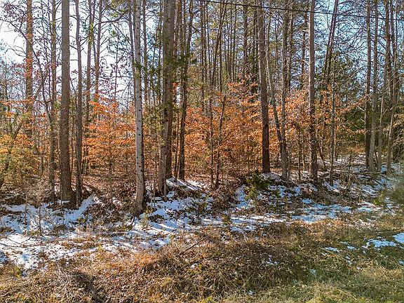 4th image of LOT 6 Burton Rd