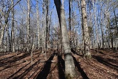 5th image of 39 SW Omega Park Rd