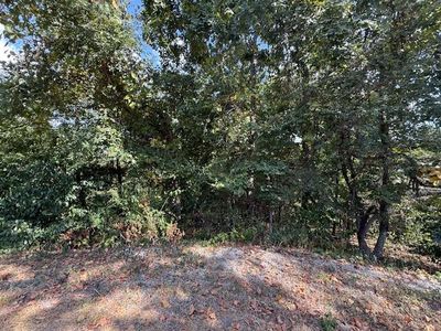 Lot 51 Seclusion Drive, Spokane, MO, 65754
