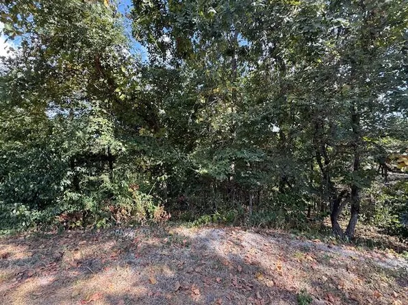 Lot 51 Seclusion Drive, Spokane, MO 65754
