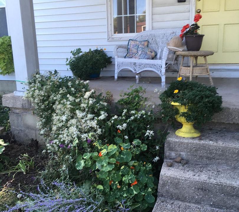 Front porch / Old fashioned way of enjoying the coming and going of College Ave
