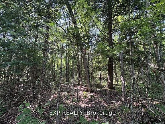 3rd image of LOT 1 Concession St #2-4