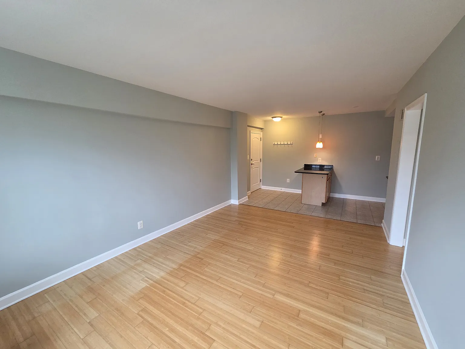 1 bed, 600 sqft, $1,545 — Photo 4