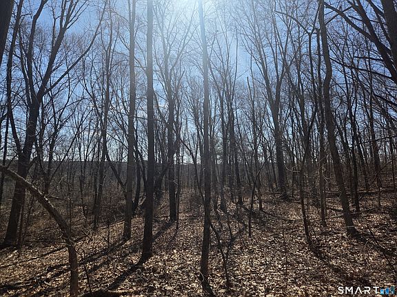 4th image of 0 Green Hollow Road Road