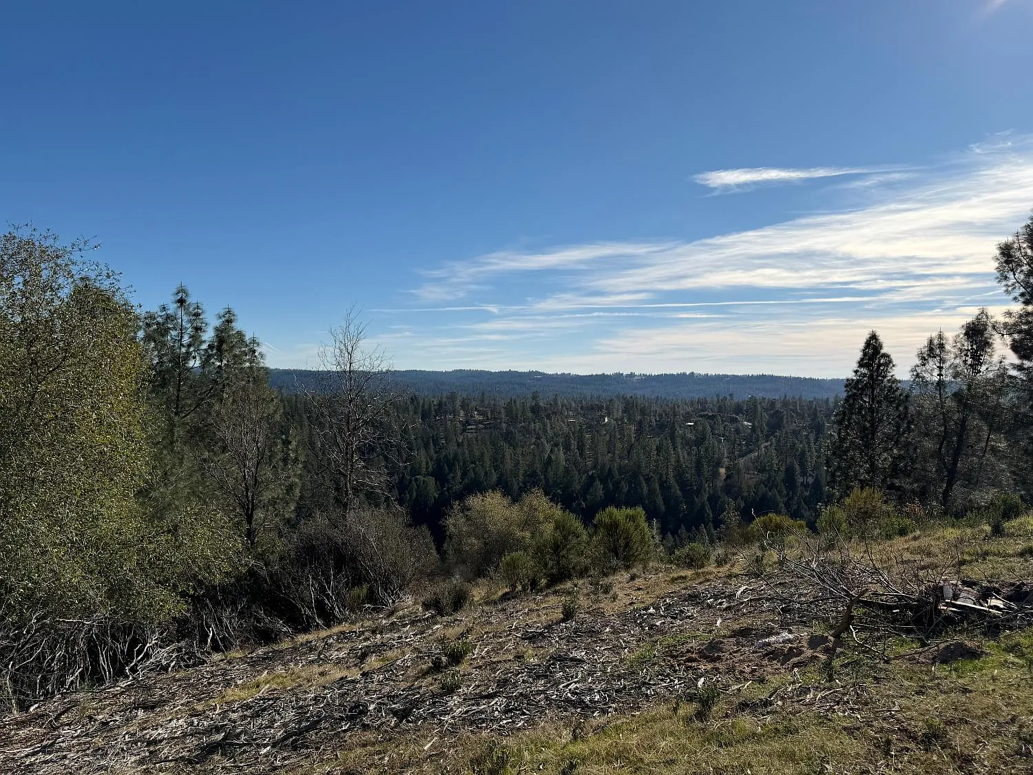 3200 One Eye Creek Rd photo 1