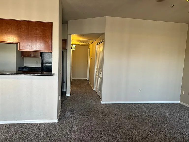 1117 E 8th St #A1001 — Photo 3