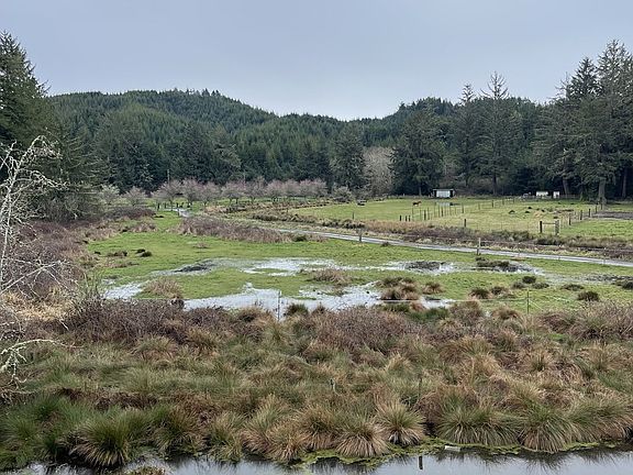 3rd image of 922 Fern Pl