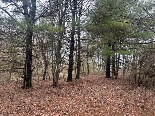 Stoney Point Rd, New Concord, OH 43762