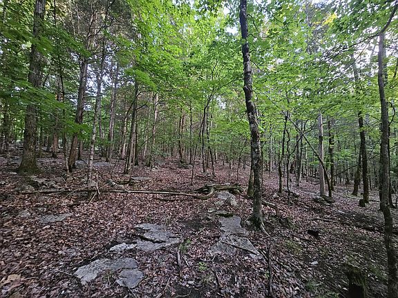 4th image of 3 Sewanee Summit Rd #2