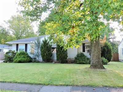 1013 N Willow St, Grafton, OH, 44044