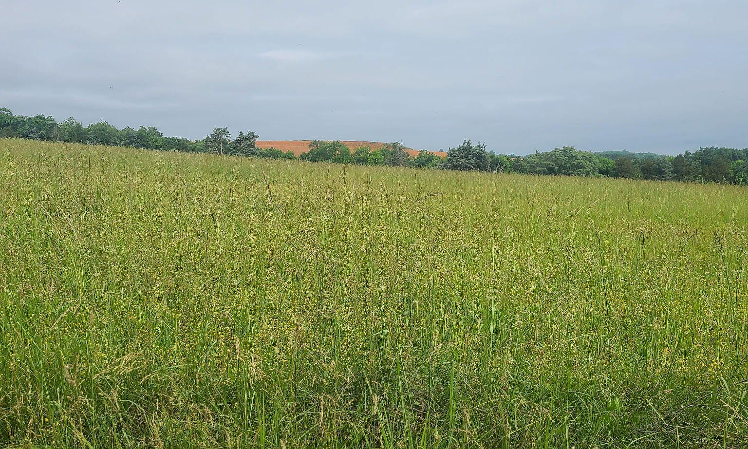 LOT 5 Valley Home Rd