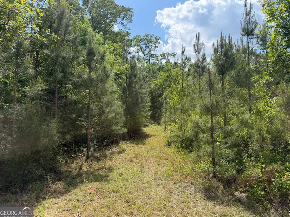 4 George Milling Rd, Cuthbert, GA 39840