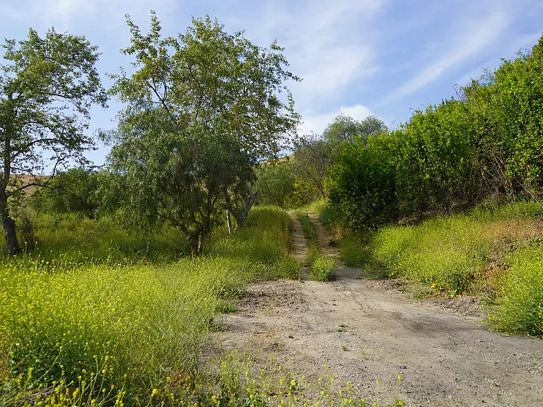 6933A Solano Verde Dr — Photo 30