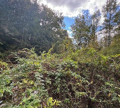 4th image of Chapman Hwy