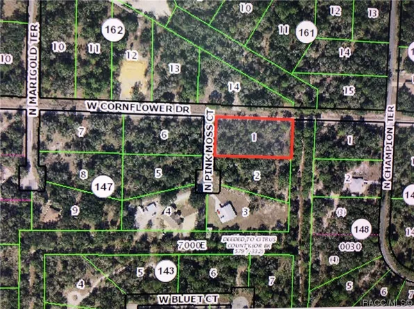 9919 N Pink Moss Point, Crystal River, FL 34428