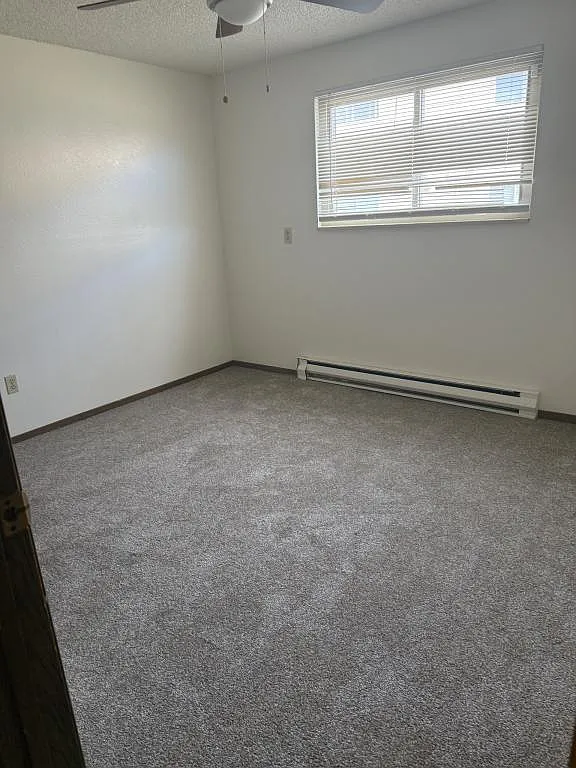 1804 Lily Pl — Photo 4