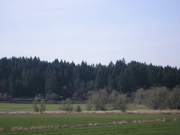 timbered hillside is subject property with wildlife refuge in foreground
