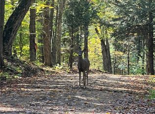 2 Glenn Rd #2, Lowville, NY 13367