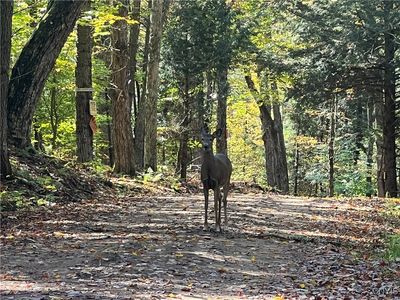 2 Glenn Rd #2, Lowville, NY, 13367