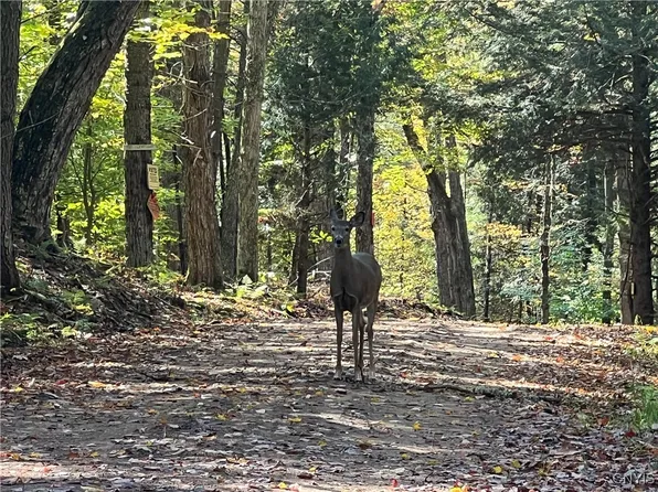 2 Glenn Rd #2, Lowville, NY 13367