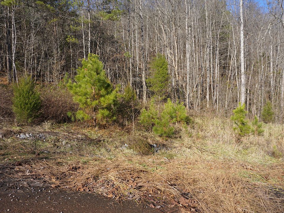1st image of Wilderness Dr