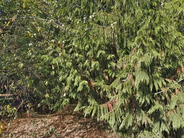 372 XX 34TH Avenue S, Auburn, WA 98001