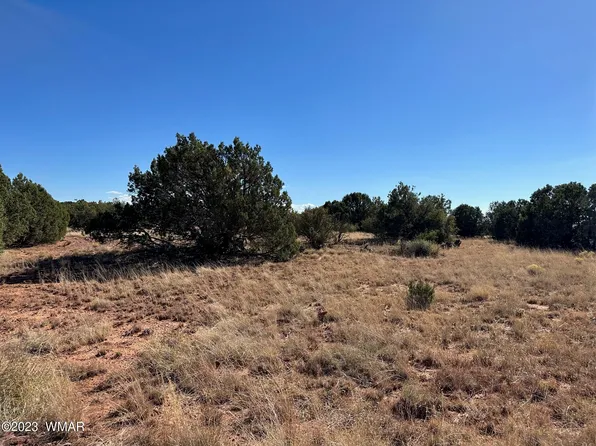 County Road 8284 Irwin, Concho, AZ 85924
